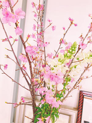 ★祝☆卒業！★