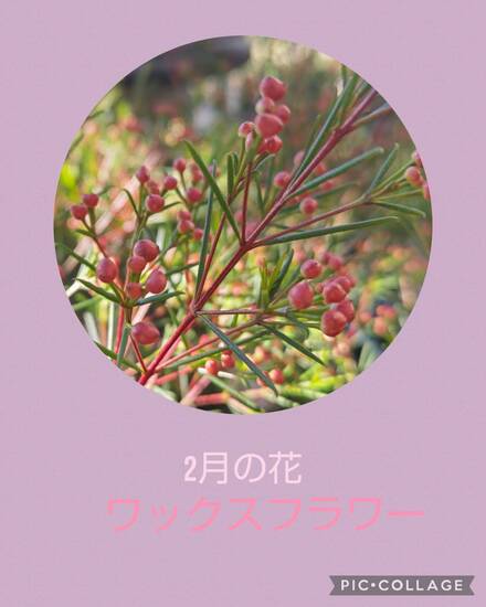 通信制高校　出願の受け付け始まっております