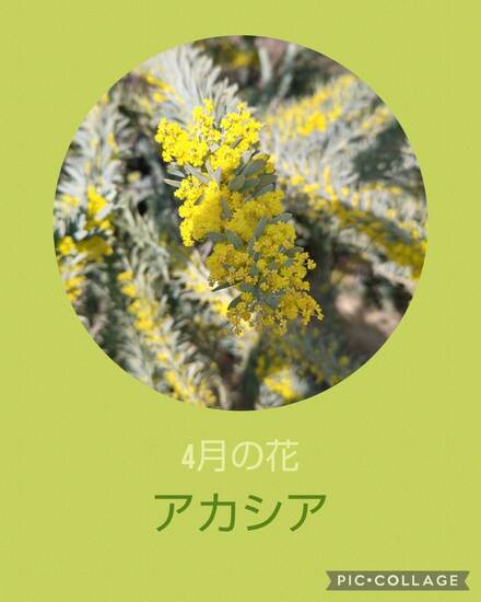 通信制高校　新学期がはじまりました