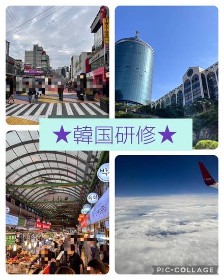 通信制高校の韓国研修旅行♪