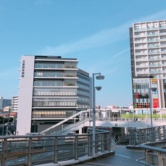 スクーリングが始まります！