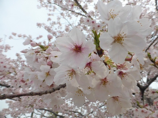 個人オリエンテーションを行っています。