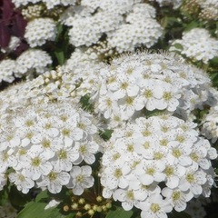 夏休み中に通信制高校について考えていませんか？