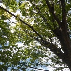 夏休み中に通信制高校という選択をしてみては