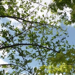 2019年5月28日は午後2時から開校します