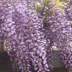 随時見学を受け付けています