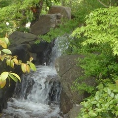 夏休み期間中も、見学を受け付けています。