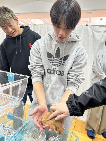 動物ふれあい体験！