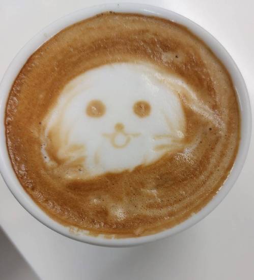 専門学校訪問・ラテアート&スイーツ作り