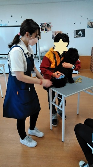 専門学校見学　ペットトリミングとドッグトレーナー