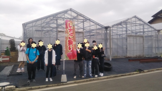 特別活動　いちご狩り