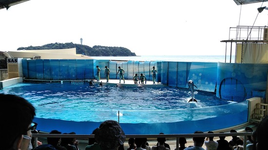 特別活動　新江の島水族館遠足