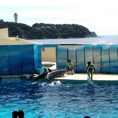 川崎キャンパスについて