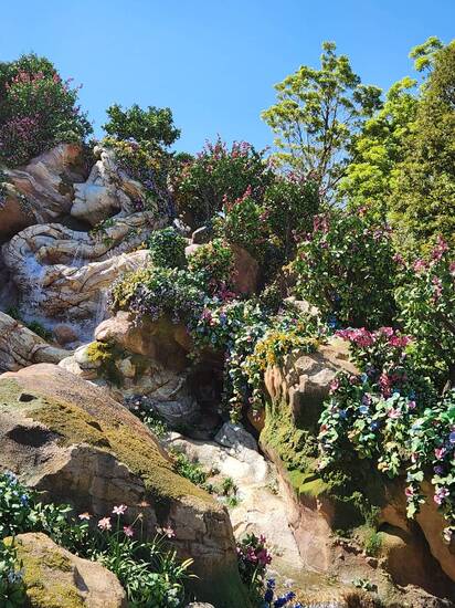 特別活動！東京ディズニーシー決定！