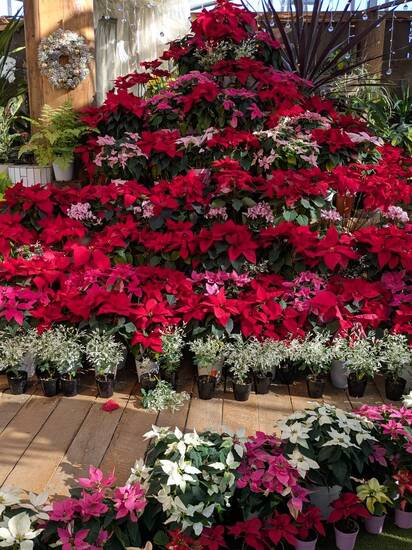 年内開校日のご案内