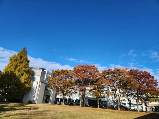 Ⅱ期面接指導スタート！