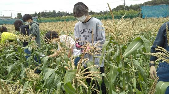 特別活動はトクベツ❣
