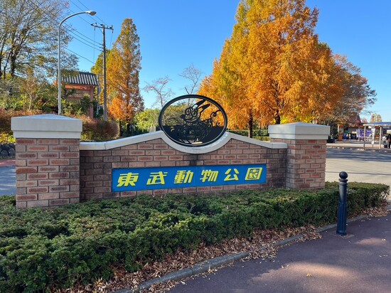 東武動物公園遠足に行ってきました！