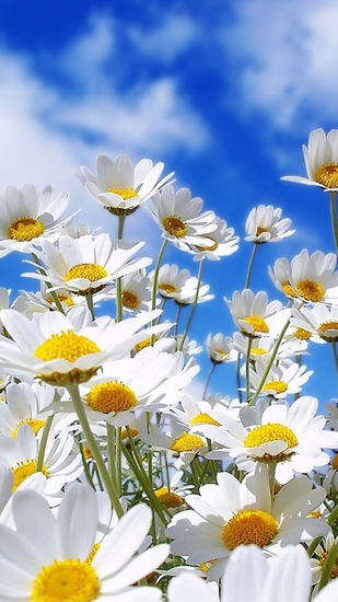 前進前進（３歩進んで２歩下がる♪）