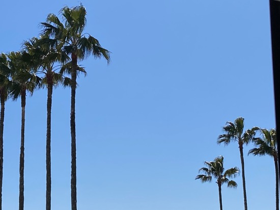 寒いけど快晴☀