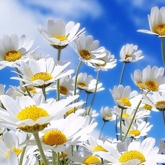 4月入学願書につきまして