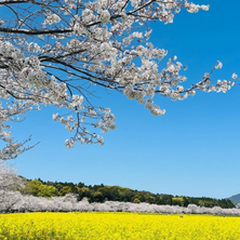 5月転編入承り中🎏