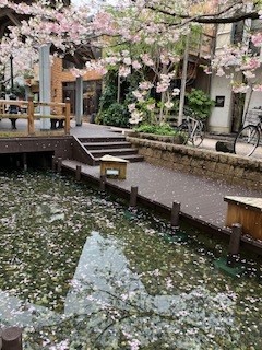 新年度、始まりました！