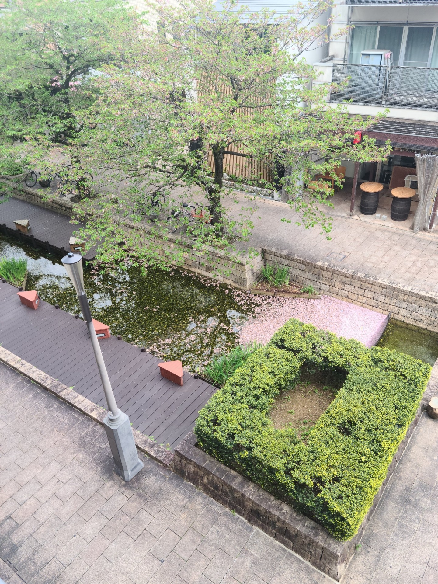 自然の移り変わりと皆さんの新たな一歩