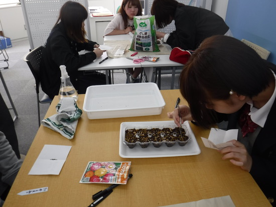 草花の種まきをしました。