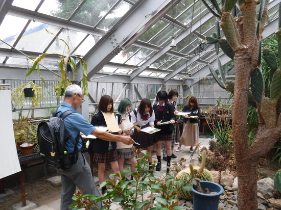 北海道大学植物園を見学