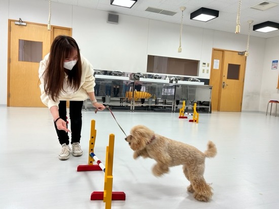 専門学校で授業体験①