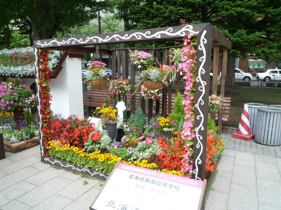 花フェスタ札幌　ガーデニング作品を見学しました。