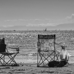 夏の個別相談・教室見学　開催中！！