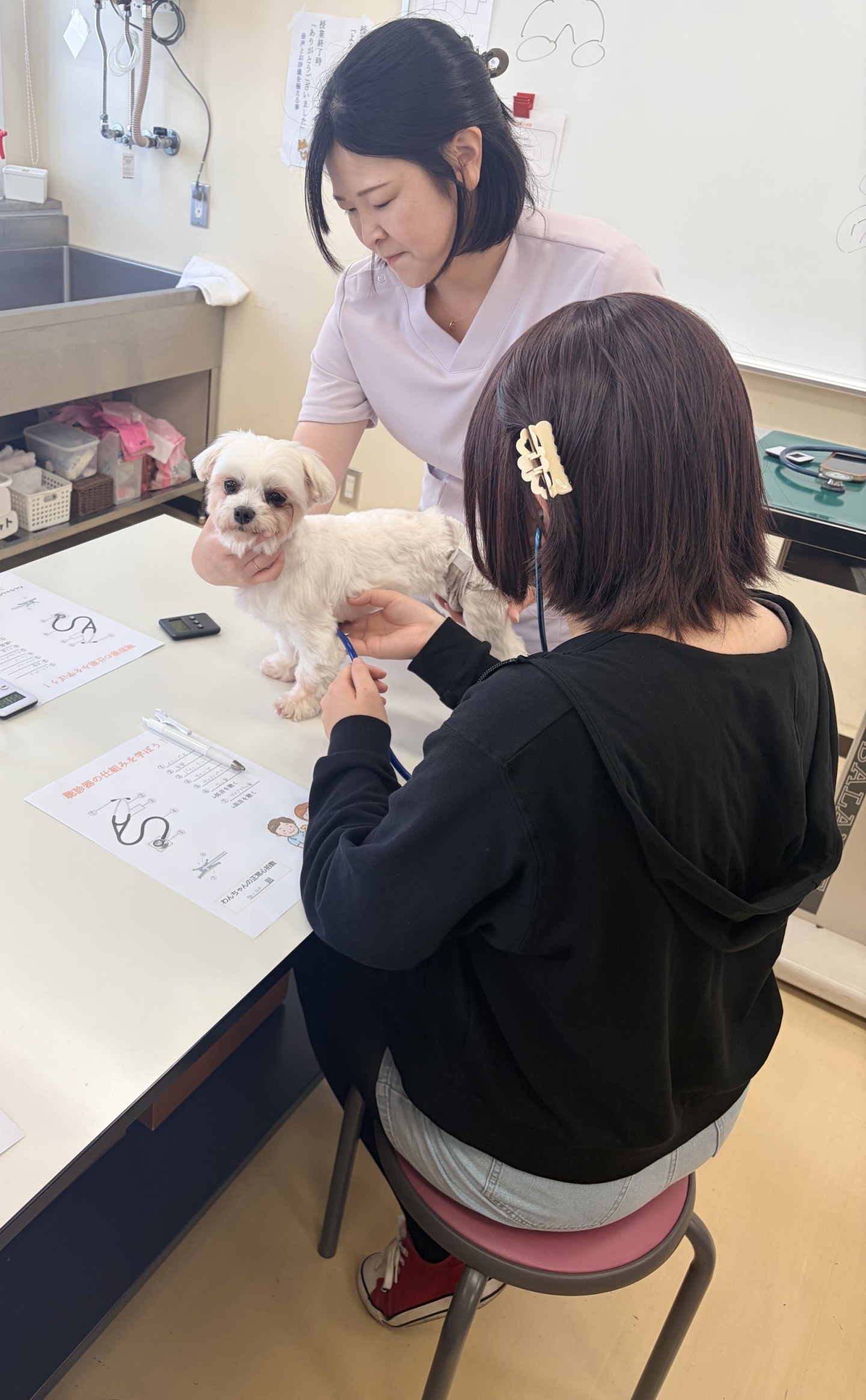 専門学校見学レポート|札幌デジタル&動物・医療・観光専門学校の体験授業を紹介
