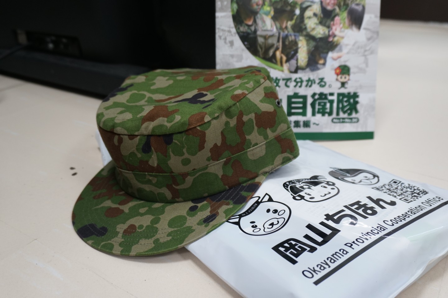 自衛隊見学