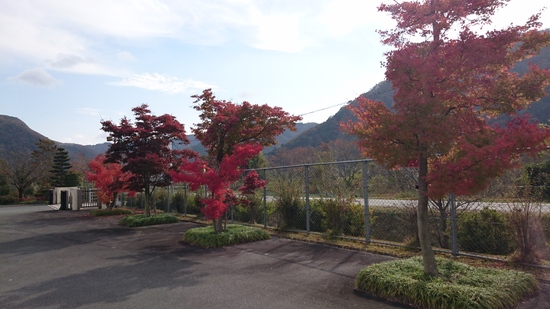 11/17　岡山本校スクーリングに参加してきました。