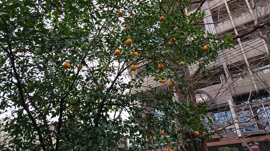 西川緑道公園でリフレッシュ！！