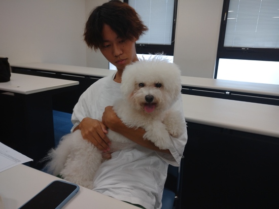 メディカルトリマー学科の授業を体験しました！