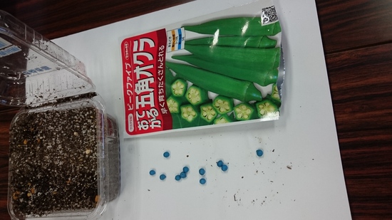 "オクラ"の種の色にビックリ！！