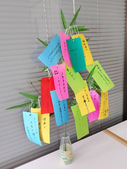 ７月スタート♪