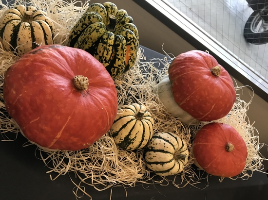 10月の個別相談会