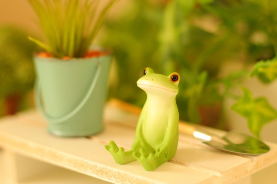 6月のオープンキャンパス