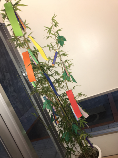 7月のオープンキャンパス