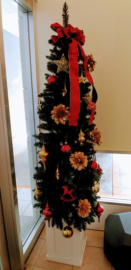 12月のオープンキャンパス