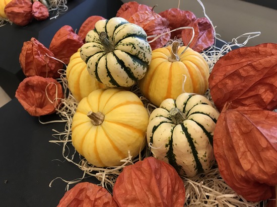 10月のオープンキャンパス