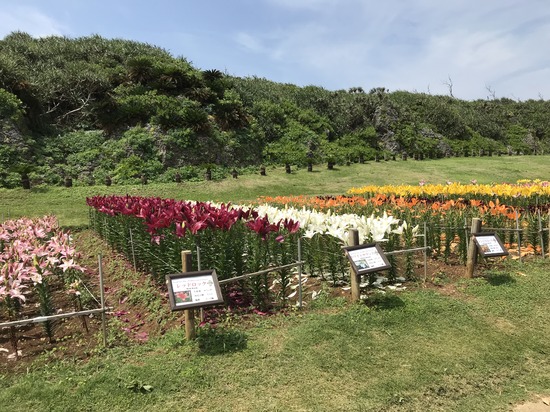 ゴールデンウイーク休業について