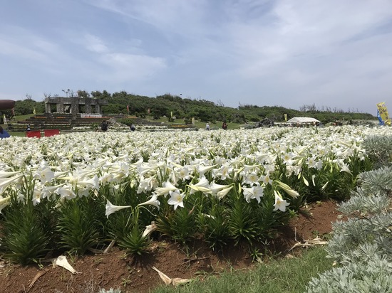 5月のオープンキャンパス