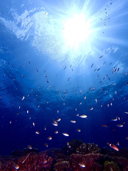 8月の個別相談会について