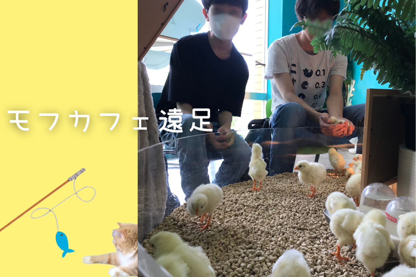 モフカフェ遠足