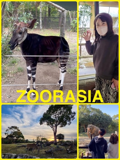 ZOORASIA  フィールドトリップ